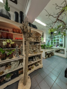 BLUMENCOMPANY Meisterfloristik & Design