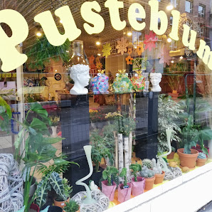 Blume Pusteblume Inh. Christina Küpper