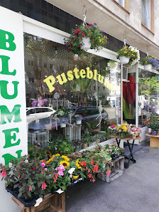 Blume Pusteblume Inh. Christina Küpper