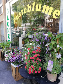 Blume Pusteblume Inh. Christina Küpper