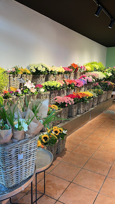 Blumen Timm