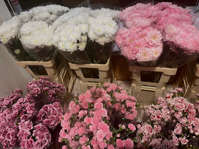 Blumen Lara