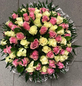 Blumen Lara