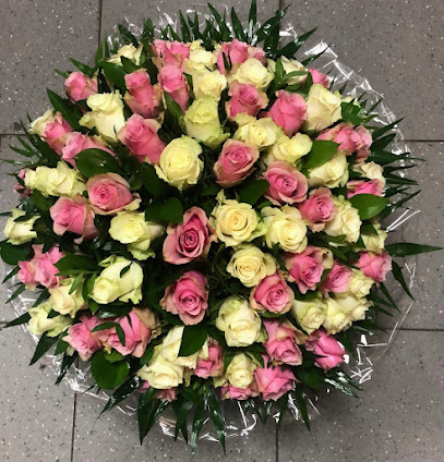 Blumen Lara