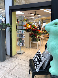 Hess Blumen Pflanzen Leben