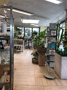 Hess Blumen Pflanzen Leben