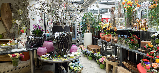 Blumen und Baumpflege Heimerdinger