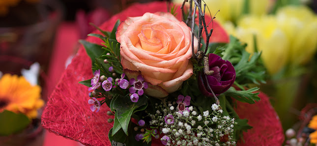 Blumen und Baumpflege Heimerdinger