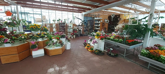 Blumen Herzog