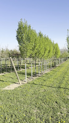 Schweizer Baum und Garten