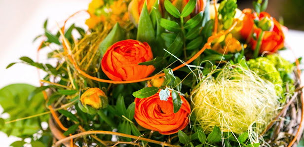 Blumen Schneider