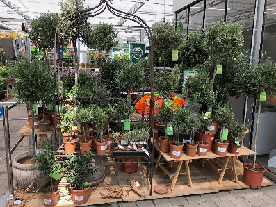 Dehner Garten-Center
