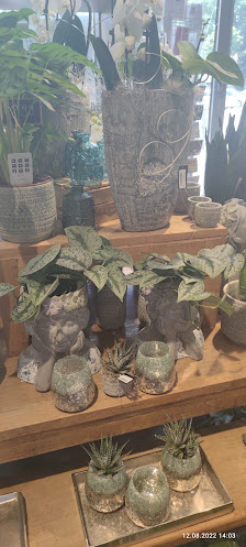 Blumen Interfleur Floristik & Wohnaccessoires