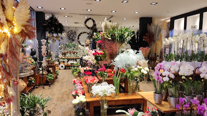 Blumen Interfleur Floristik & Wohnaccessoires