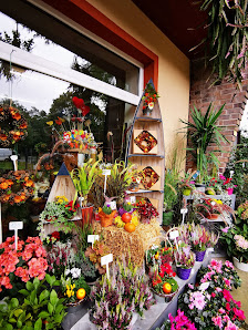 BloomBox Berlin