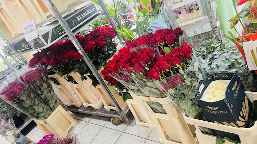 Blumen & Pflanzen 85