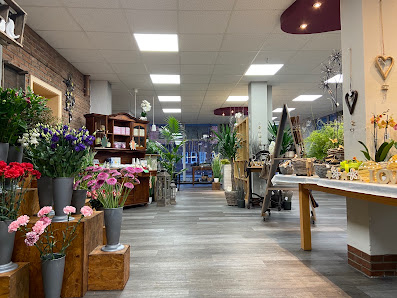 Blumenhaus Knoop