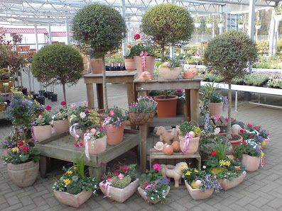 Grün erleben Fleur Gartencenter Ganderkesee