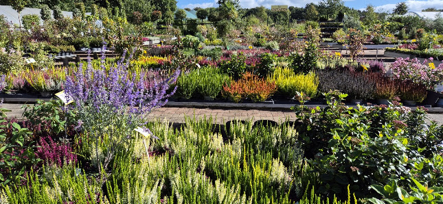 Frickes Gartencenter
