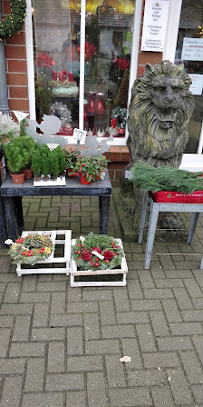Blumen & Ambiente