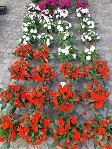 Blumen Dames Twistringen, Inhaber Georg Dames