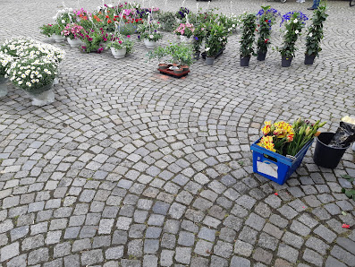 Blumen Dames Twistringen, Inhaber Georg Dames