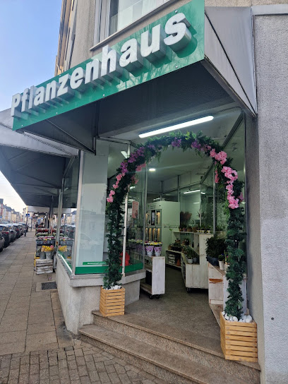 Pflanzenhaus - Blumen & mehr