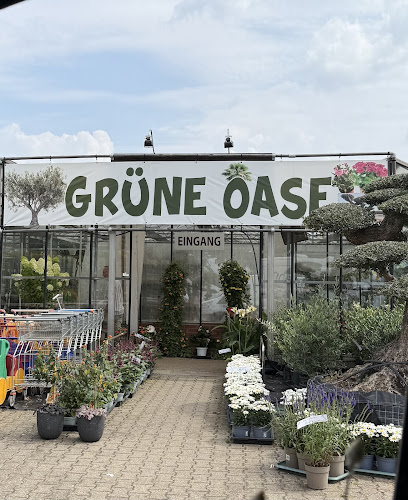 Grüne Oase Gartenwelt Essen
