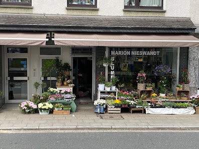 Blumen am Gemarkenplatz Marion Nieswandt