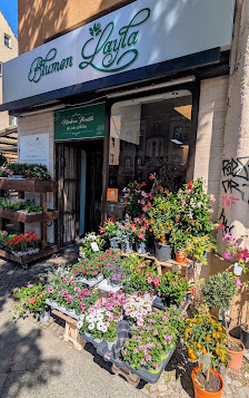 Blumen Layla
