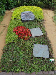 Königs Blumen