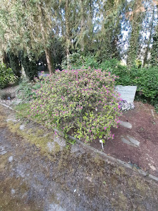 Königs Blumen