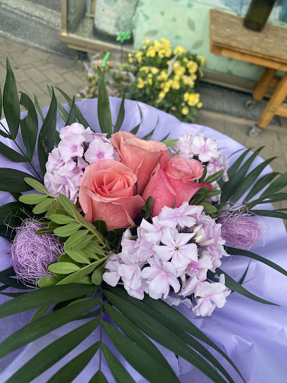 Blumenhaus Immergrün