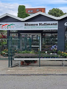 Blumen Hallmann