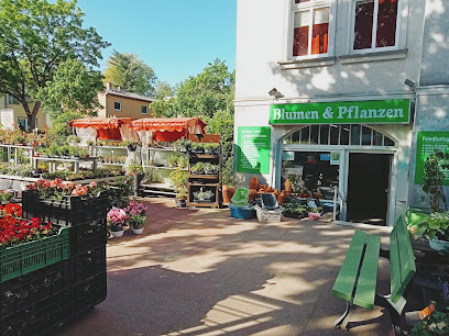 Blumen & Pflanzen
