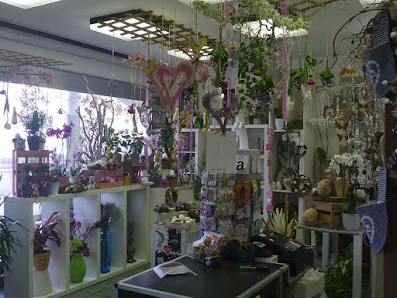 Blumen van der Molen