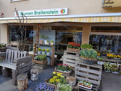 Blumen Breitenstein