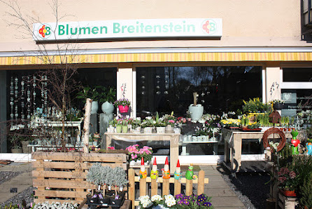 Blumen Breitenstein