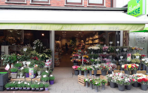 Blumen Risse Blumenladen Essen-Rüttenscheid