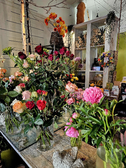 Akzente- Blumen in Farbe und Form Inke Wolf