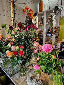 Akzente- Blumen in Farbe und Form Inke Wolf