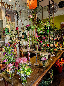 Akzente- Blumen in Farbe und Form Inke Wolf