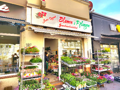 Zwei Quynh Blumen & Pflanzen