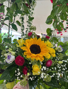 Alisha’s Blumen und Pflanzen