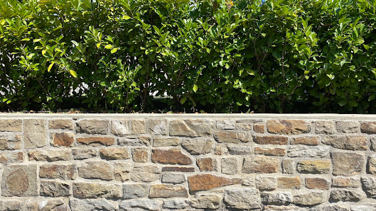 Garten SCHMEINK