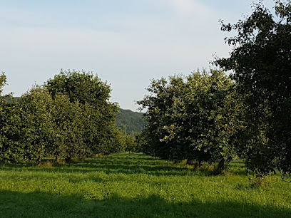 Garten- und Landschaftsbau Neuman