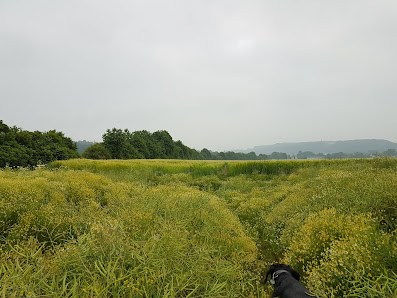 Garten- und Landschaftsbau Neuman