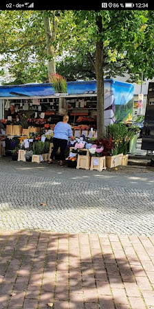 Blumen Olli Berlin am Breitenbachplatz