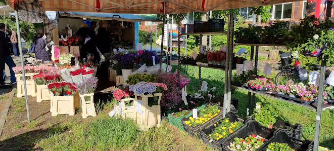 Blumen Olli Berlin am Breitenbachplatz