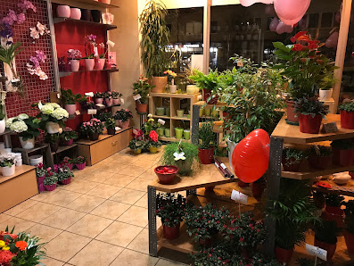 Blumen van Oost